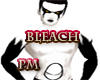 (PM)Bleach 2 With Hole