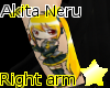 ' Akita Neru arm tat '