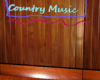 neon country music