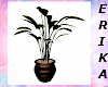wed19 potted plant