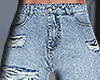 [Y] Short Jeans v2