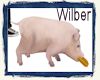Baby Pig - Wilber (ani)