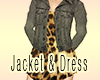 Jacket & Dress Outfit