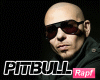 Pitbull MP3