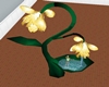 daffodil dream bath