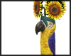 Parrot Planter Sunflower