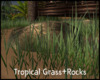 *Tropical Grass+Rocks