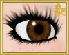 Goldi Brown Eyes