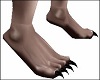 Claw Animal Feet