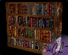Steampunk Bookshelf