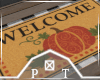 Double Side Fall Doormat
