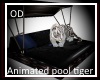 (OD) Pool Tiger animated