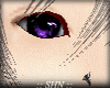 SHN :: Violet Eyes