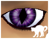 [HK] Cosmic Cat Eyes (M)