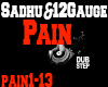 Sadhu&12Gauge-PAIN