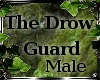 *P*The Drow Guard Male *