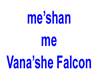 Meshan ofVana'she Falcon