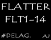 FLATTER, FLT1-14