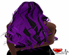 Sparrow Purple/Black