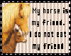 My Horse Is My Friend