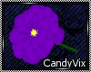 [CV] Giant Purple Flower