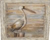 Pelican Picture