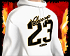 Hoodie Basket 23