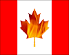 Fire Maple Canadian Leaf