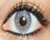 Blue/gray eyes
