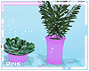 ♔ Furn ♥ Plant Set