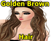 Golden Brown Hair