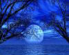 blue moon pic