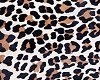 chandail leopard