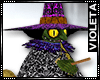 ! Funny Witch - Pet 