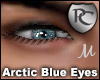 Arctic Blue Eyes