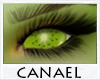 [CNL] Eyes kiwi