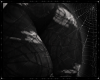 🕸️