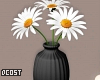 Daisies In Black Vase