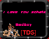 [TDS]BadBoy