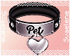 Pet Collar |Black