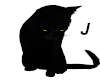 J~Animated Black Cat