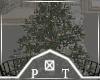 Mini Xmas Tree Decor