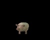 Piglets 3