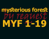 MYSTERIOUS FOREST