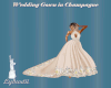 Champagn Wedding Gown