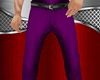 Formal Purple Pants