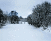 SnowyLand Animated