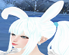 snow bunny Ears