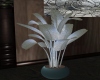 Silver Plant