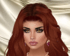 Brown Bundle